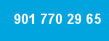 901 770 29 65